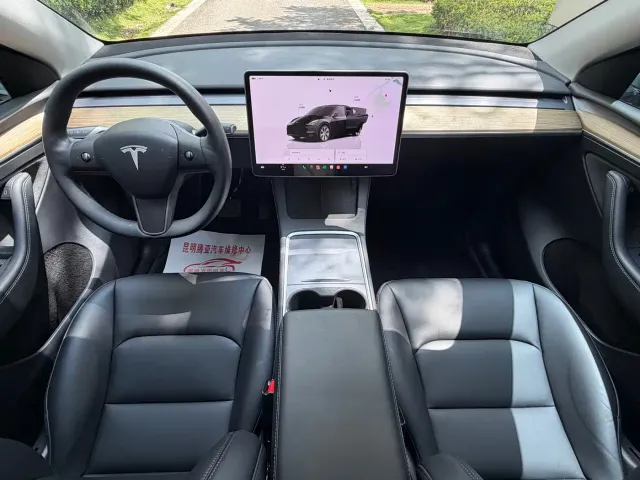Tesla Model Y — Фото автомобиля 16