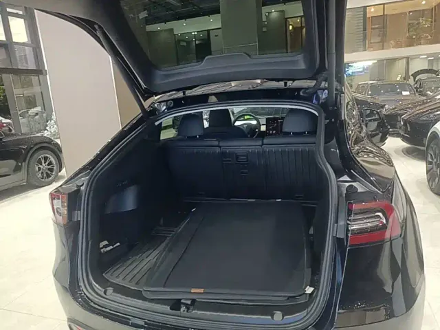 Tesla Model Y — Фото автомобиля 18