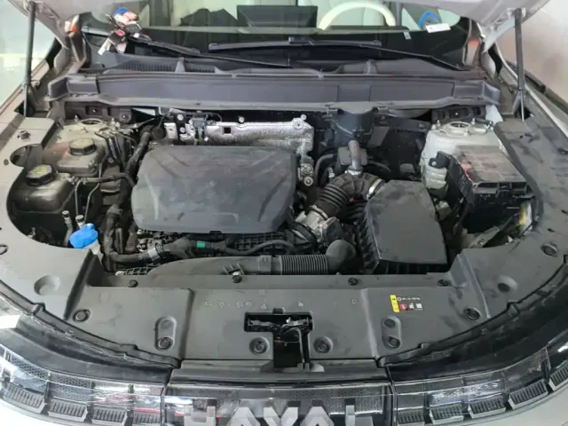 Haval Xiaolong MAX — Фото автомобиля 19