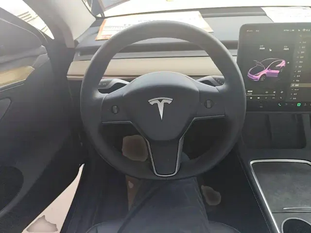 Tesla Model Y — Фото автомобиля 10