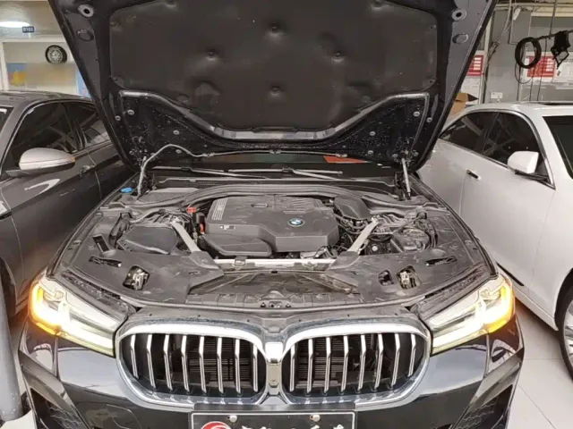 BMW 5 Series — Фото автомобиля 19