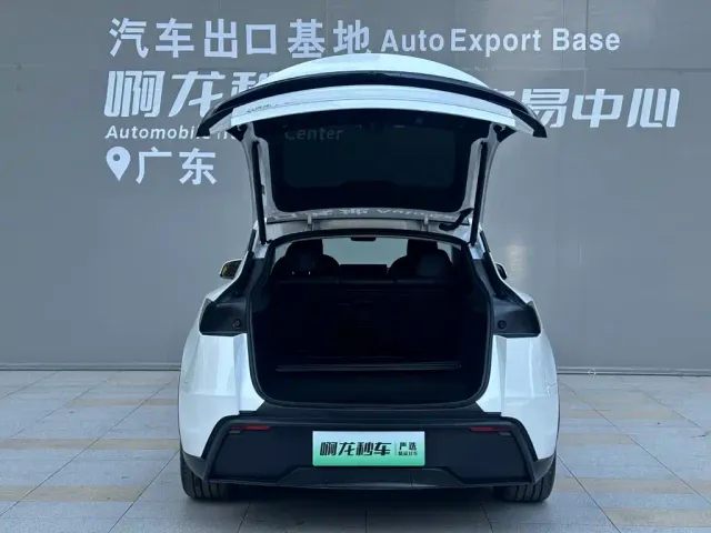 Tesla Model Y — Фото автомобиля 14