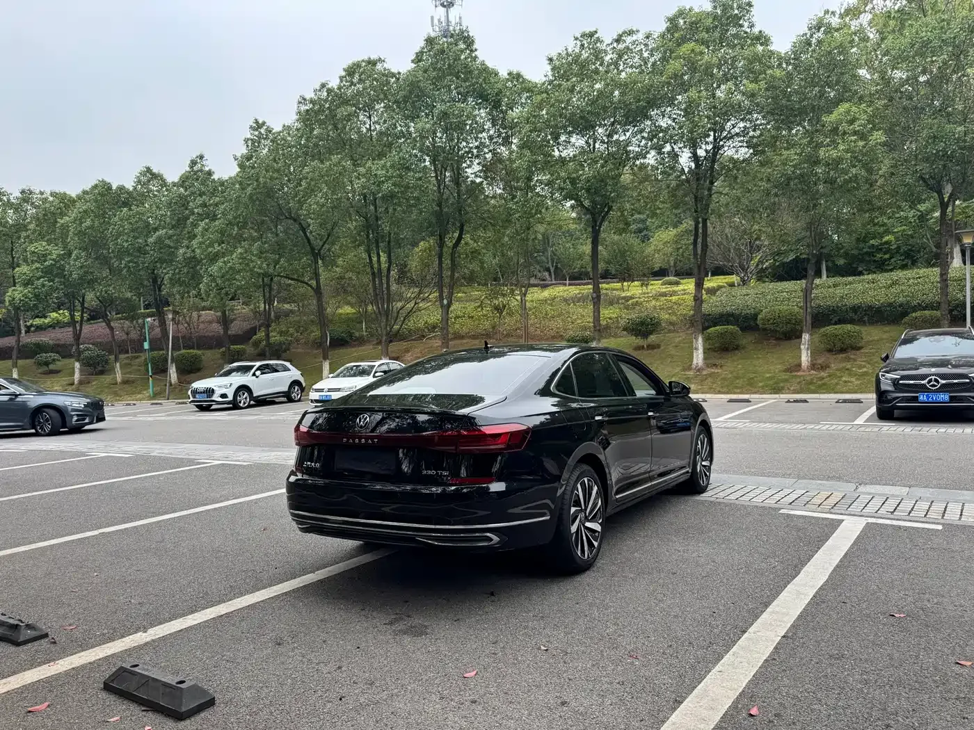 Volkswagen Passat 2022 330TSI Starlight Luxury Edition — Фото автомобиля 10