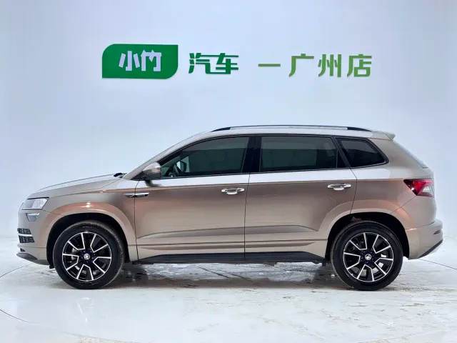 Skoda Karoq — Фото автомобиля 8