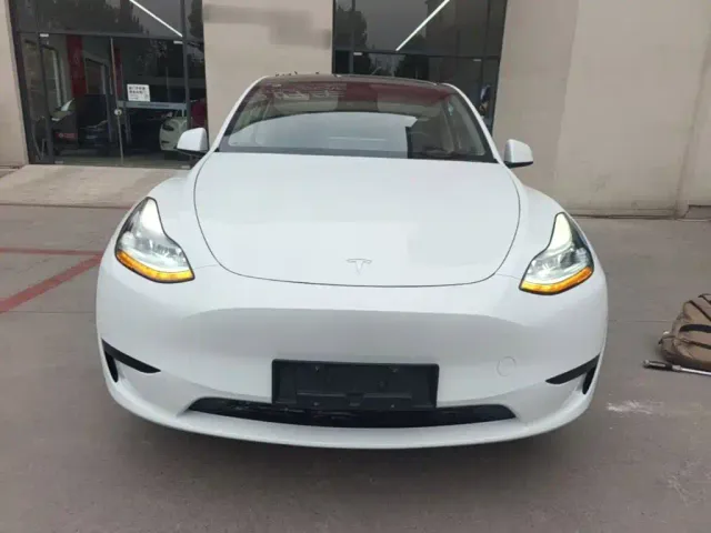 Tesla Model Y — Фото автомобиля 2