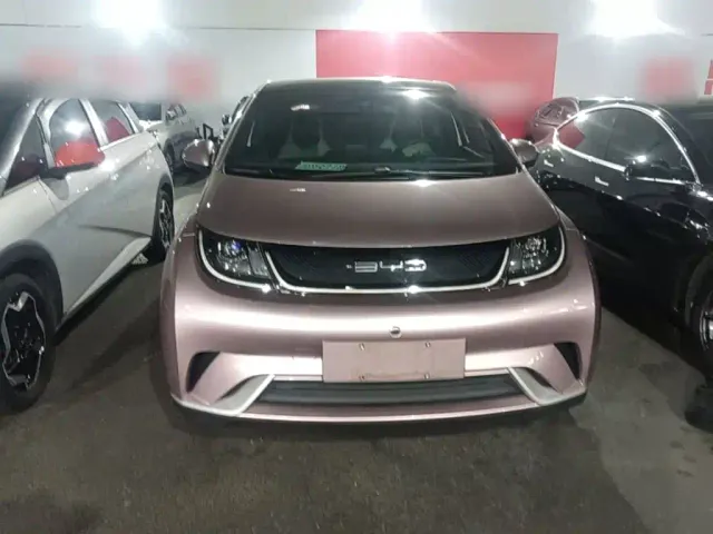 BYD Dolphin — Фото автомобиля 2