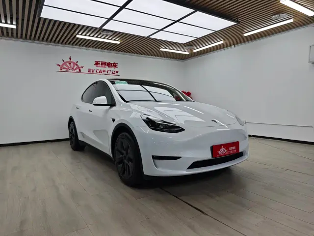 Tesla Model Y — Фото автомобиля 2