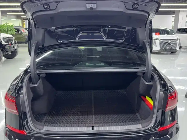 Volkswagen Passat — Фото автомобиля 15