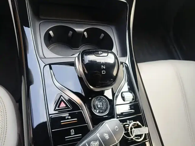BYD Qin PLUS — Фото автомобиля 13
