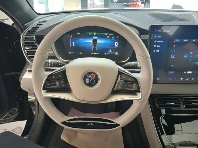 BYD Han — Фото автомобиля 10
