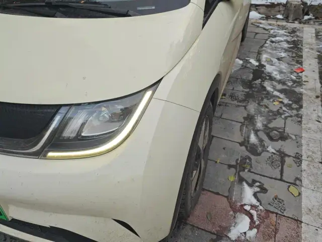 BYD Dolphin — Фото автомобиля 5