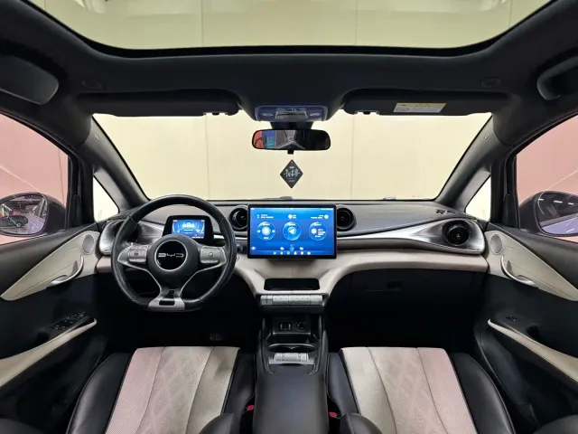 BYD Dolphin — Фото автомобиля 16