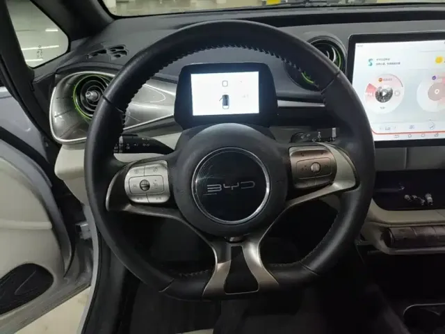 BYD Dolphin — Фото автомобиля 10
