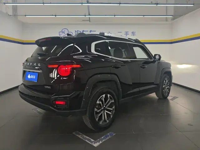 Haval Big Dog — Фото автомобиля 3