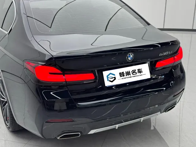 BMW 5 Series — Фото автомобиля 21