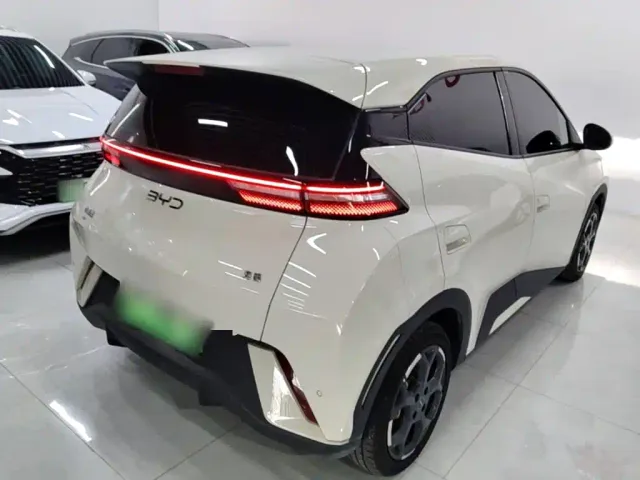 BYD Seagull — Фото автомобиля 6