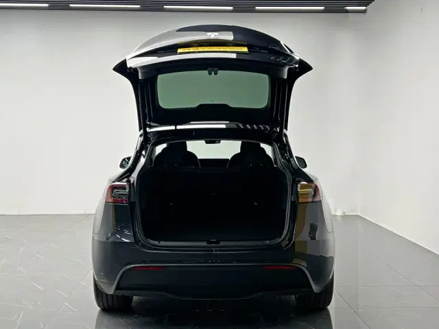 Tesla Model Y — Фото автомобиля 11