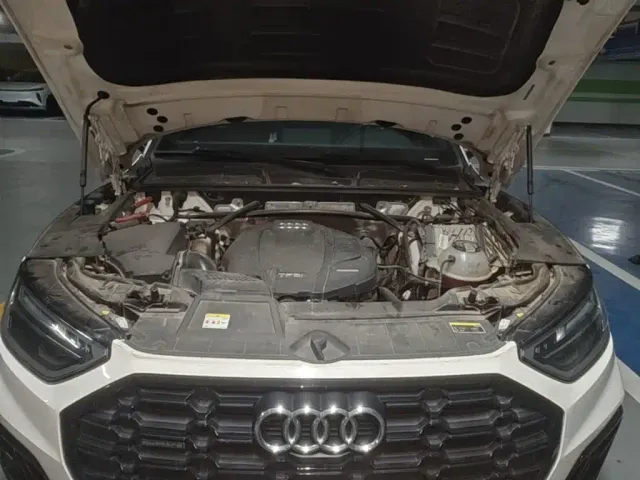 Audi Q5L — Фото автомобиля 19