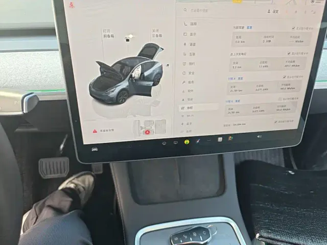 Tesla Model Y — Фото автомобиля 17
