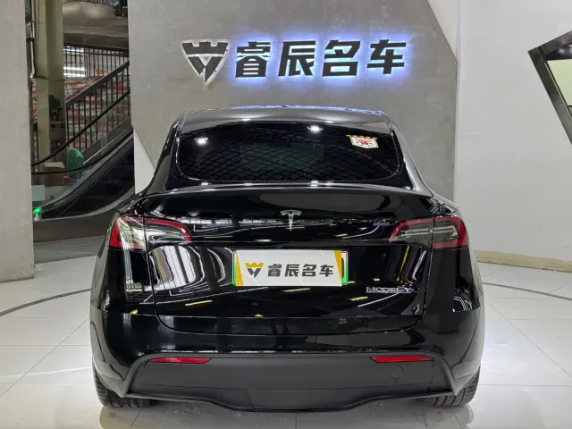 Tesla Model Y — Фото автомобиля 9