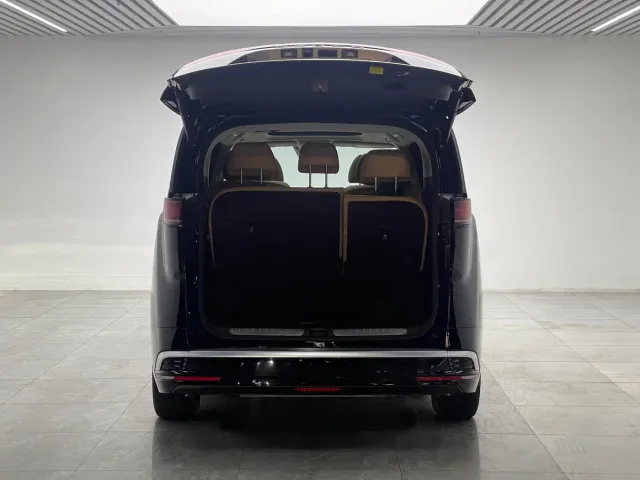 Denza Denza D9 2024 DM-i 1050 Premium — Фото автомобиля 10