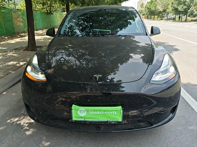 Tesla Model Y — Фото автомобиля 2