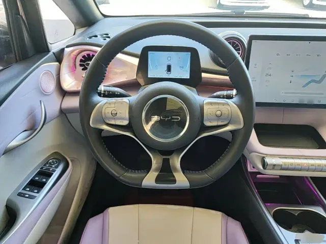 BYD Dolphin — Фото автомобиля 10