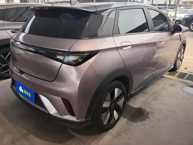 BYD Dolphin 2021 401km Knight Edition — Фото автомобиля 3