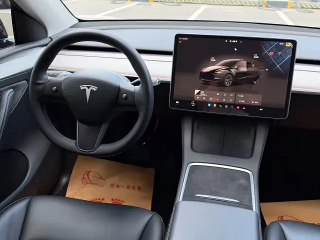 Tesla Model Y — Фото автомобиля 13