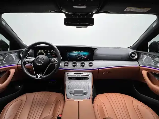 Mercedes-Benz CLS-Class — Фото автомобиля 11