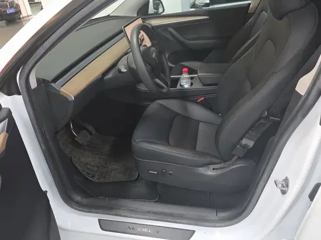 Tesla Model Y — Фото автомобиля 9