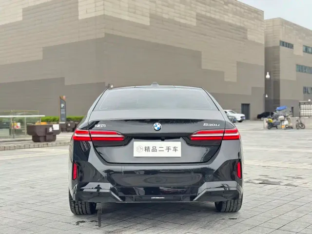 BMW 5 Series — Фото автомобиля 8