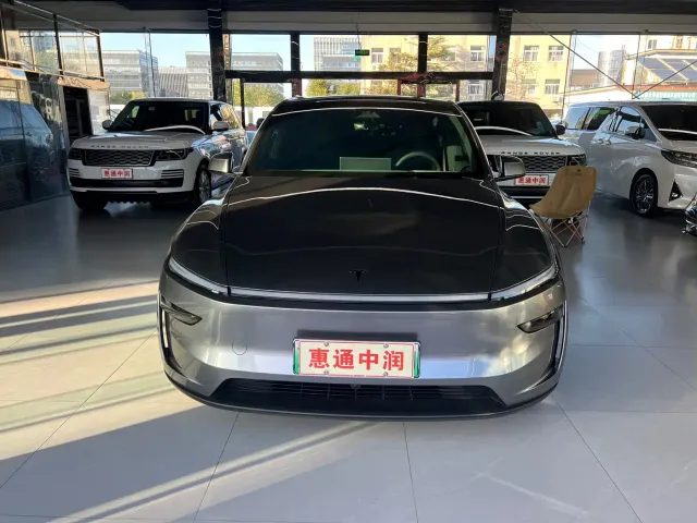 Tesla Model Y — Фото автомобиля 3