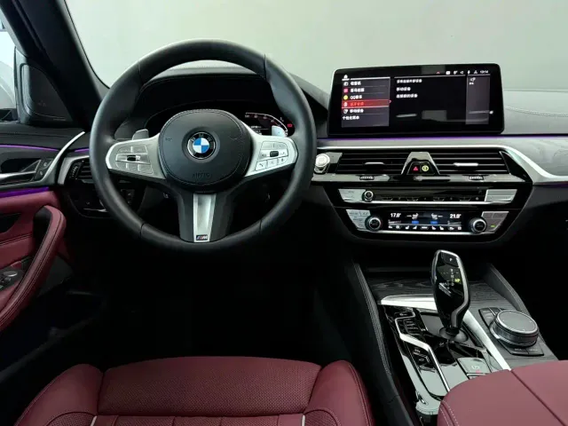 BMW 5 Series — Фото автомобиля 11