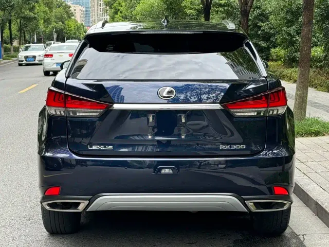 Lexus RX — Фото автомобиля 4