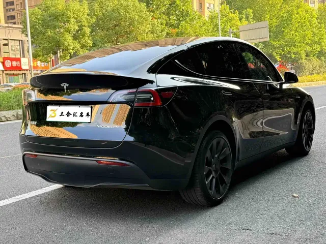 Tesla Model Y — Фото автомобиля 10