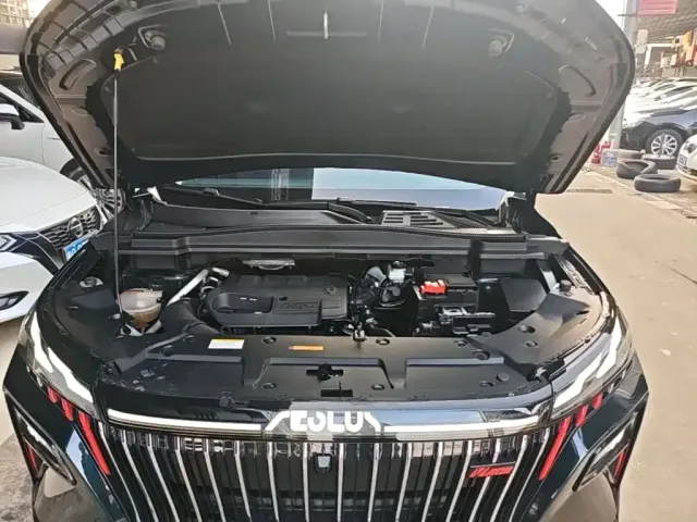 Dongfeng Haoji — Фото автомобиля 19