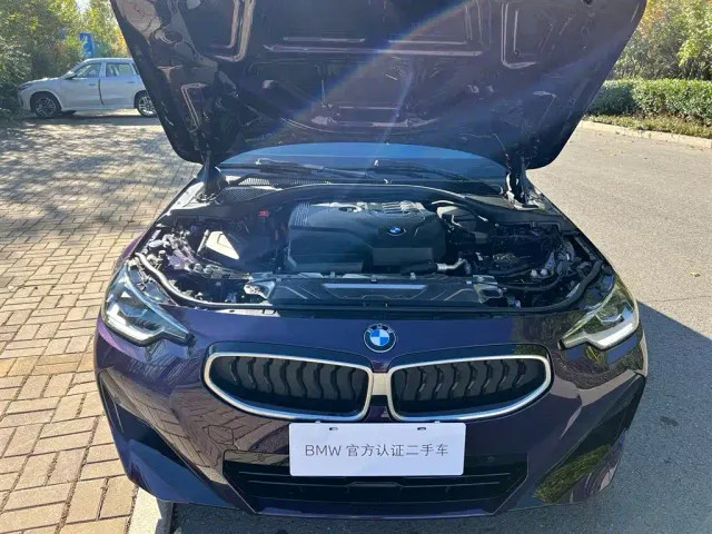 BMW 2 Series — Фото автомобиля 13