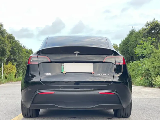 Tesla Model Y — Фото автомобиля 6