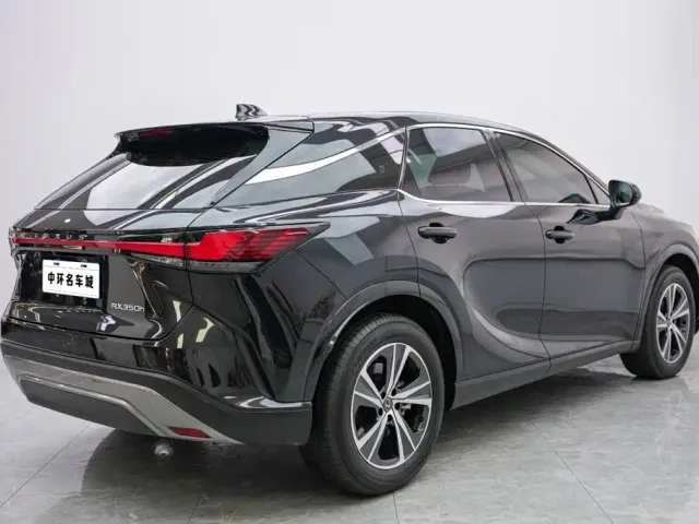 Lexus RX — Фото автомобиля 17