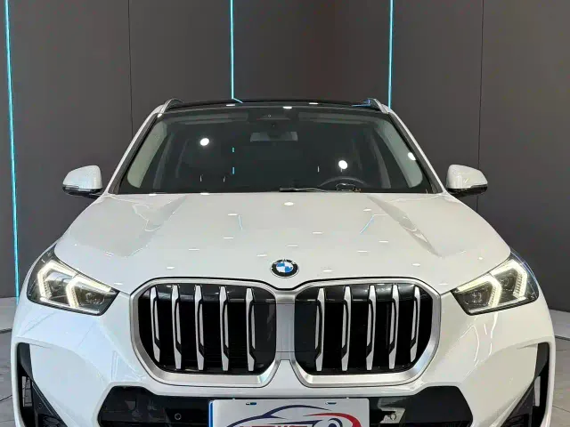 BMW X1 — Фото автомобиля 2