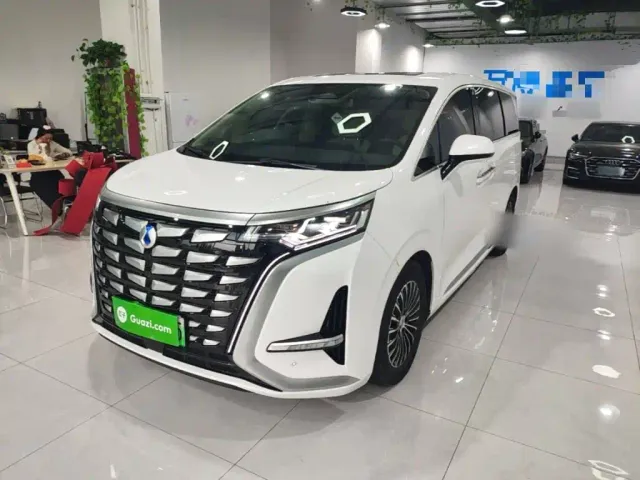 Фотография автомобиля — Denza D9