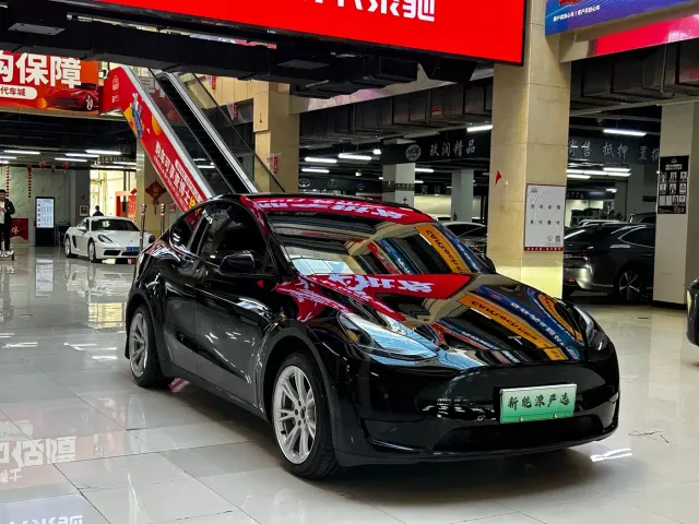 Tesla Model Y — Фото автомобиля 3