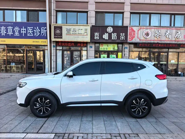 Haval H6 — Фото автомобиля 7