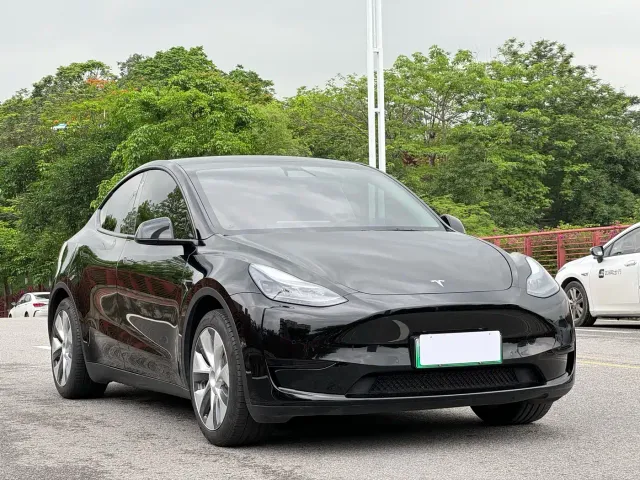 Tesla Model Y — Фото автомобиля 3