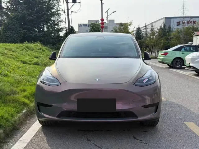 Tesla Model Y — Фото автомобиля 2