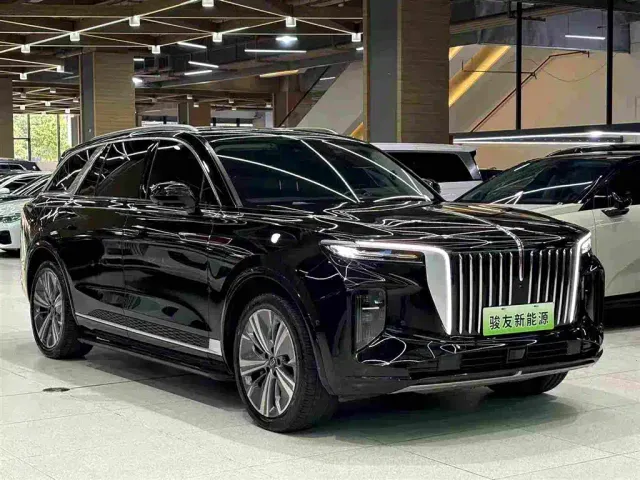Hongqi E-HS9 — Фото автомобиля 11