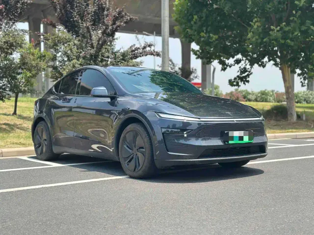 Tesla Model Y — Фото автомобиля 3