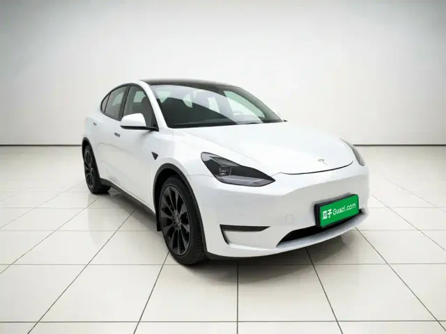 Tesla Model Y — Фото автомобиля 3
