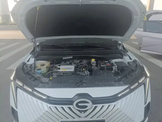 GAC Trumpchi Emkoo — Фото автомобиля 19